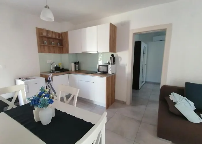 Navy * 노비비노돌스키